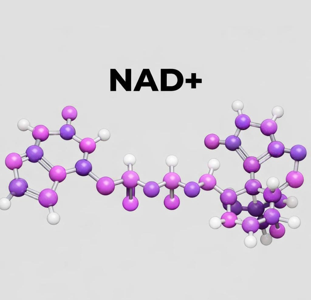 What Is NAD+ and Why Is Everyone Talking About It? – Aesun